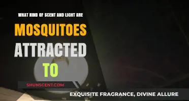 Mosquito Magnet: Unveiling the Scent and Light Preferences of These Pests