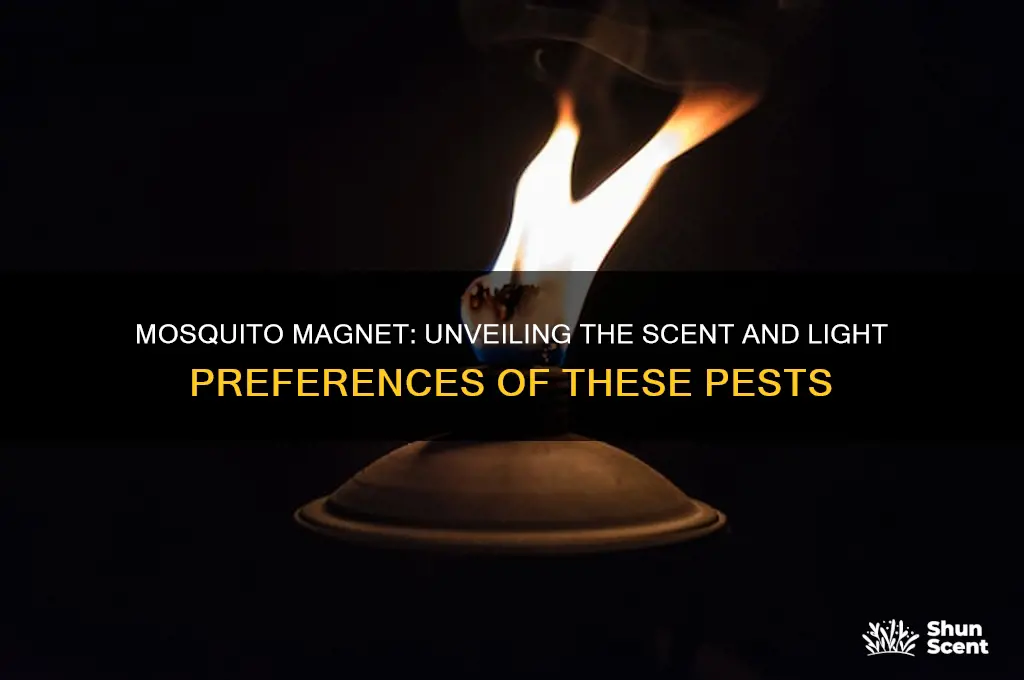 what kind of scent and light are mosquitoes attracted to
