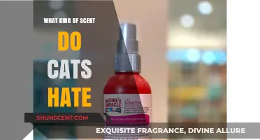 Scents Cats Despise: Uncovering Odors That Drive Felines Away