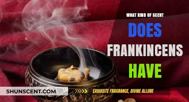 Exploring Frankincense: Unveiling Its Unique Aromatic Scent Profile
