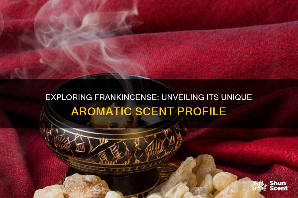 what kind of scent does frankincense have