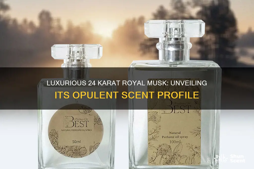 what kind of scent is 24 karat royal musk