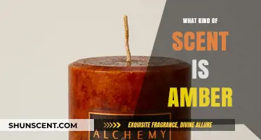 Exploring the Warm, Earthy, and Sensual Essence of Amber Scents