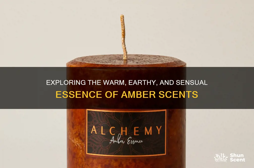 what kind of scent is amber