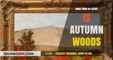 Autumn Woods Scent: A Cozy, Earthy, and Nostalgic Fragrance Journey