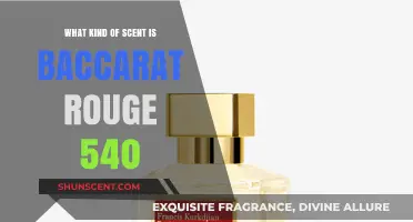Baccarat Rouge 540: Unveiling the Luxurious and Complex Scent Profile