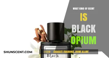 Exploring the Alluring and Seductive Scent of Black Opium