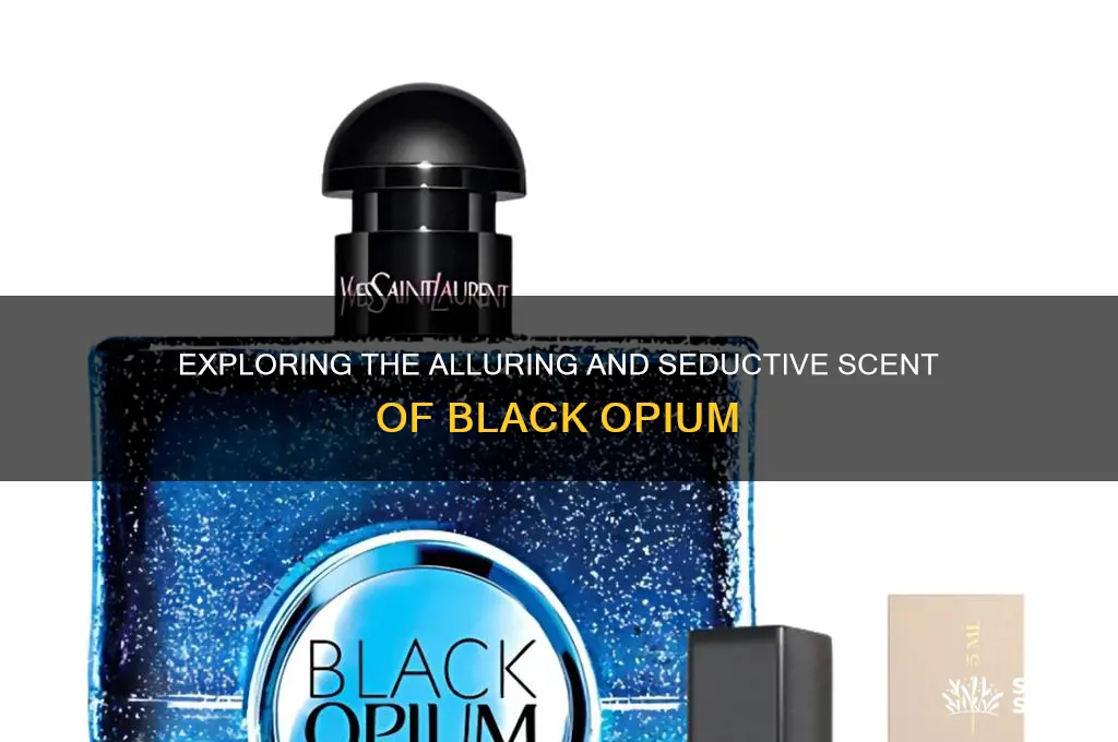 what kind of scent is black opium