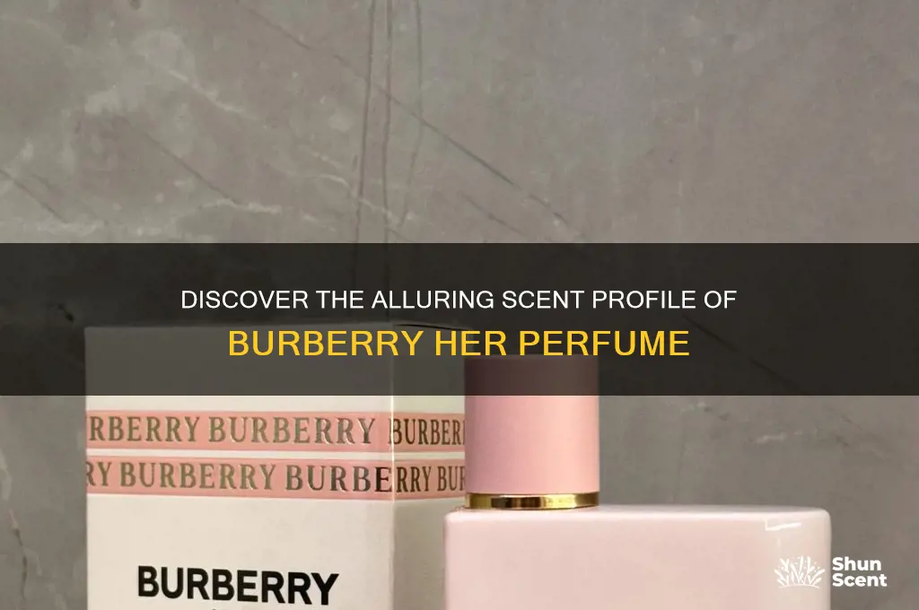 what kind of scent is burberry her