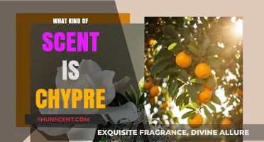 Exploring Chypre: A Complex, Earthy, and Timeless Fragrance Family
