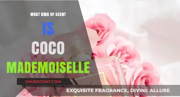 Exploring the Alluring and Timeless Scent of Coco Mademoiselle