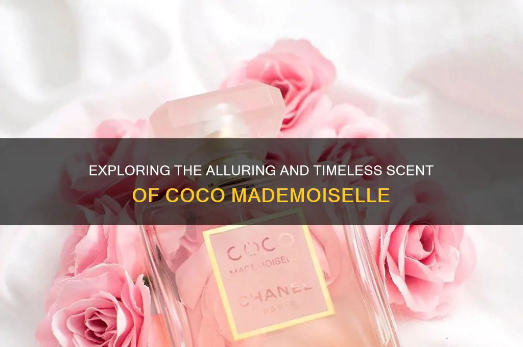what kind of scent is coco mademoiselle