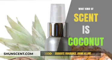 Exploring the Tropical Aroma: What Kind of Scent is Coconut?