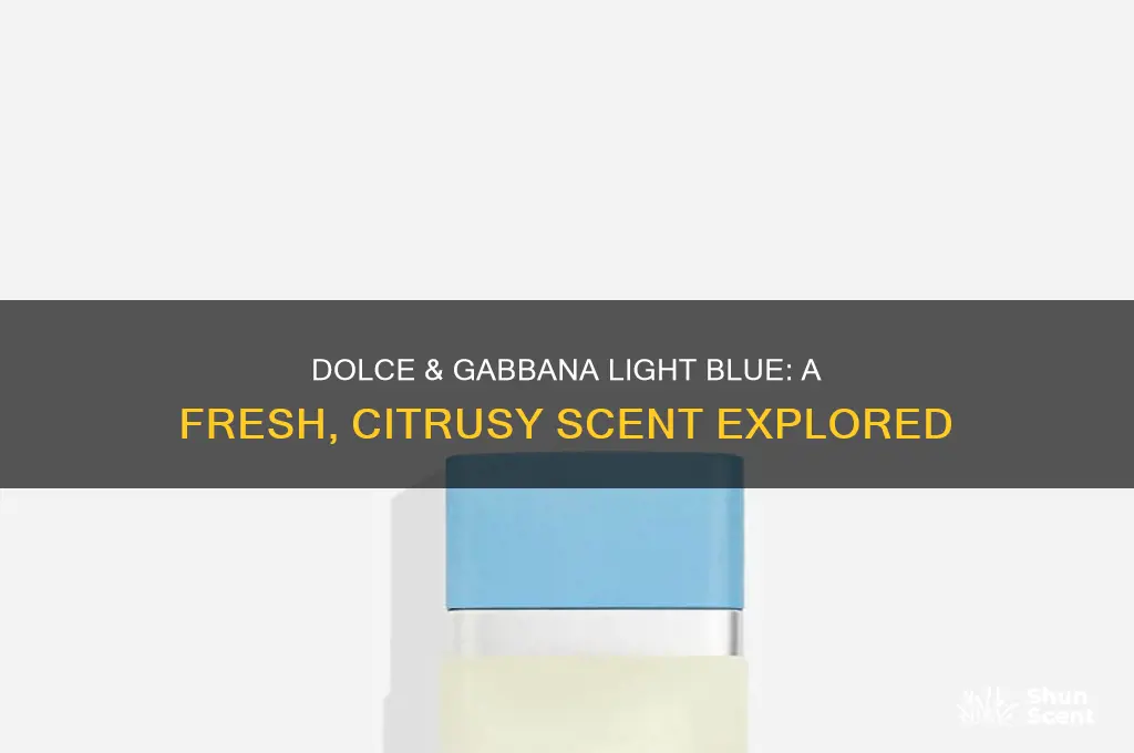 what kind of scent is dolce and gabanna light blue