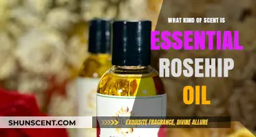 Discover the Unique, Earthy, and Nourishing Scent of Essential Rosehip Oil