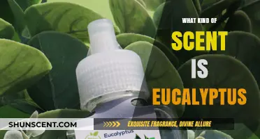 Discover the Refreshing and Invigorating Scent of Eucalyptus: A Guide