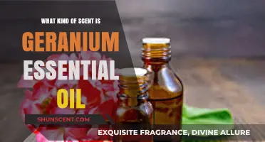Exploring Geranium Essential Oil: A Floral, Earthy, and Balancing Scent