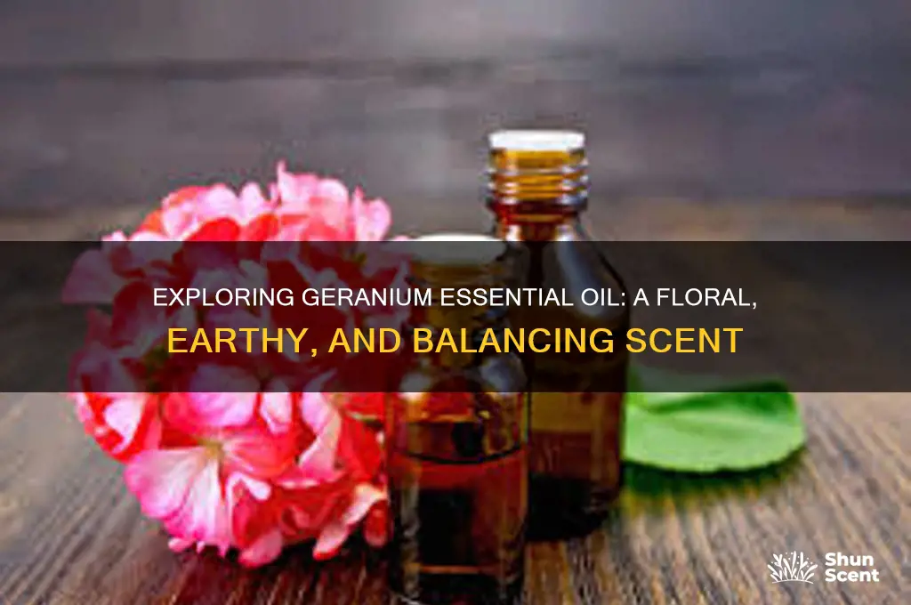 what kind of scent is geranium essential oil