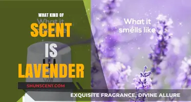 Exploring Lavender's Soothing Scent: A Guide to Its Unique Aromatic Profile