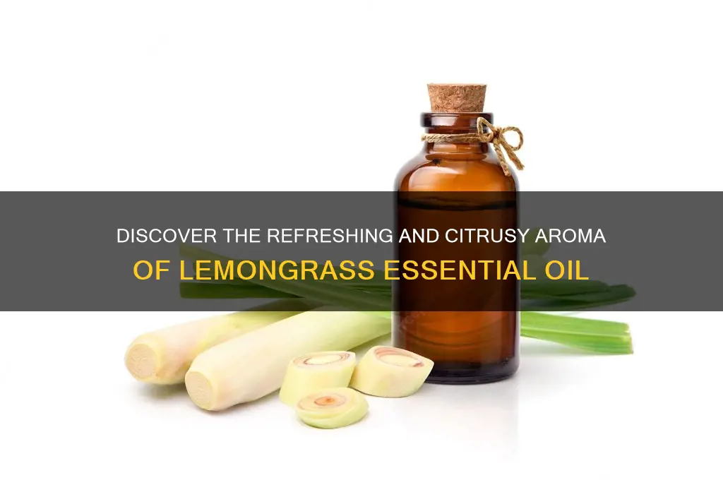 what kind of scent is lemongrass essential oil
