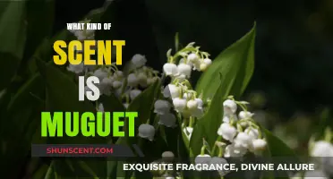 Exploring Muguet: The Delicate, Fresh, and Floral Scent of Lily of the Valley