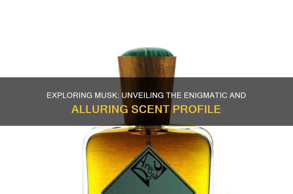 what kind of scent is musk