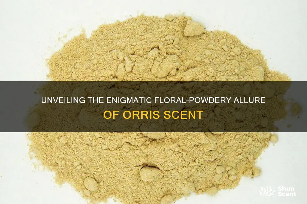 what kind of scent is orris