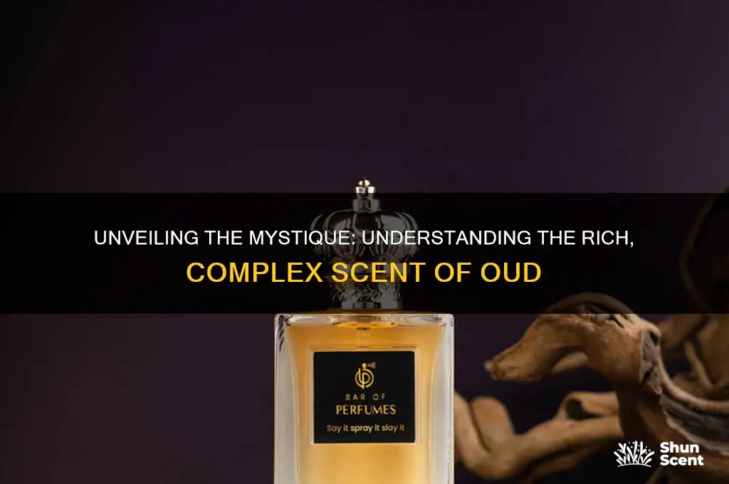 what kind of scent is oud