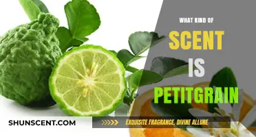 Exploring Petitgrain: A Fresh, Citrusy, and Woody Aromatic Scent Profile