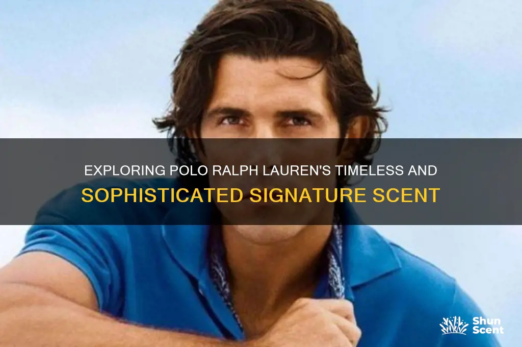 what kind of scent is polo ralph lauren