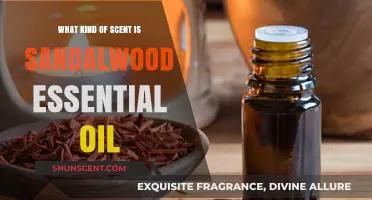 Exploring Sandalwood Essential Oil: A Rich, Woody, and Earthy Aroma