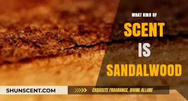 Exploring the Rich, Earthy, and Soothing Aroma of Sandalwood