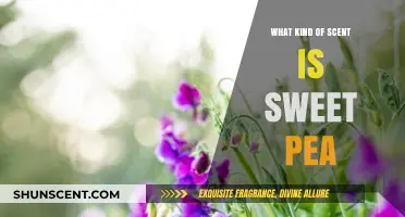 Discover the Delicate, Floral Sweetness of Sweet Pea Scents