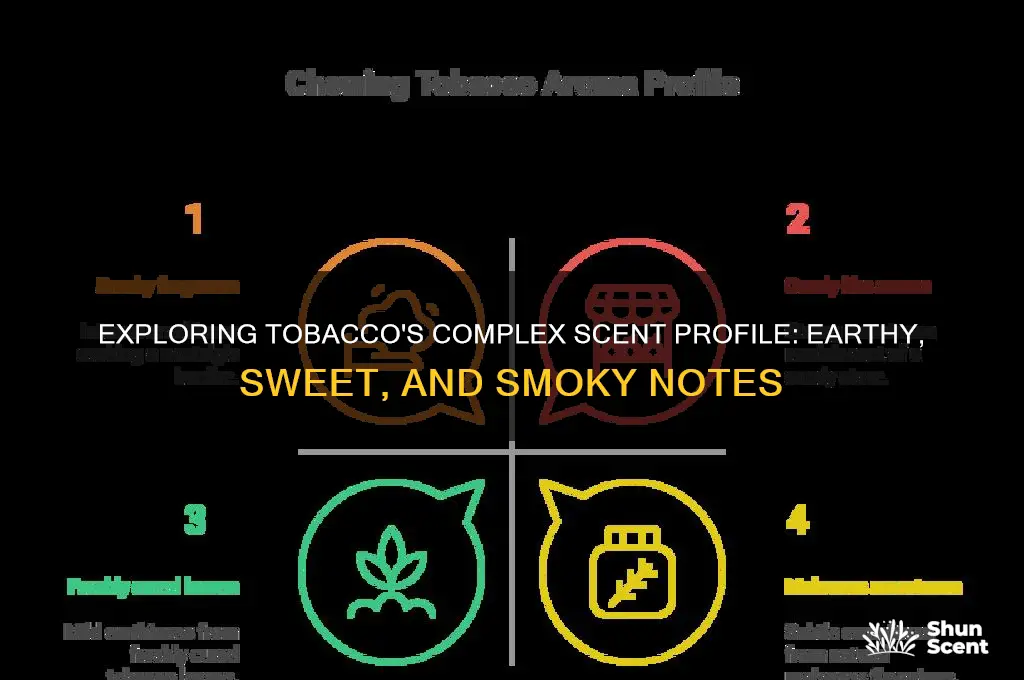 what kind of scent is tobacco