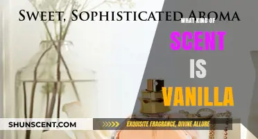 Exploring the Warm, Sweet, and Comforting World of Vanilla Scents
