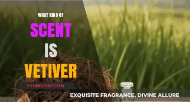 Discover the Earthy, Woody, and Complex Aroma of Vetiver