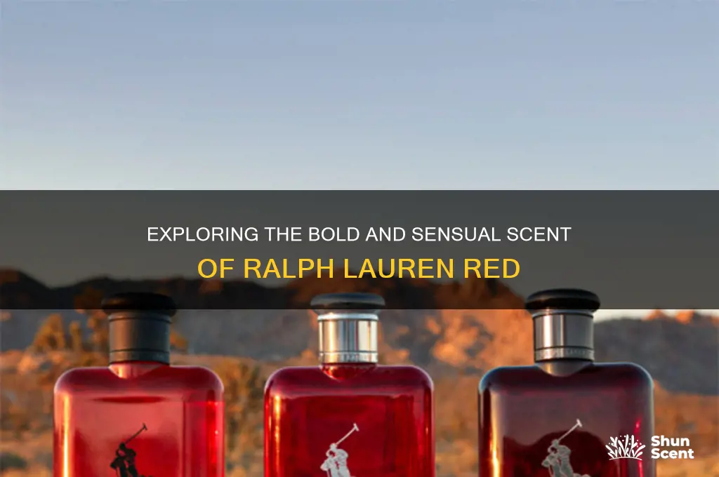 what kind of scent ralph lauren red