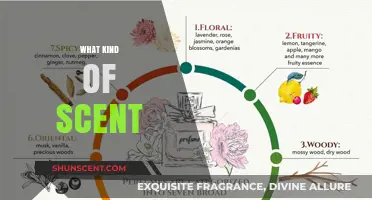 Exploring the Perfect Scent: Types, Notes, and Personal Preferences