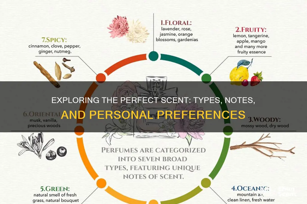 what kind of scent
