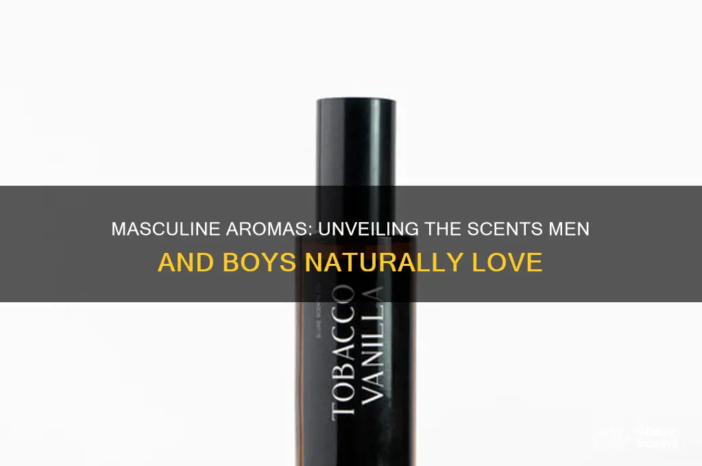 what kind of scents are men and boys drawn to