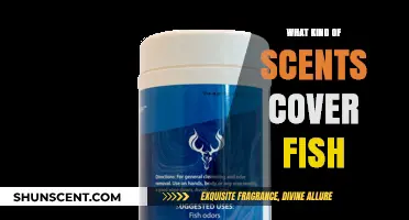Freshen Up: Scents That Effectively Mask Fishy Odors in Your Home