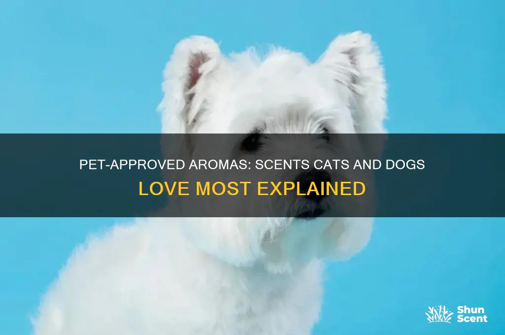 what kind of scents do cats and dogs find pleasant