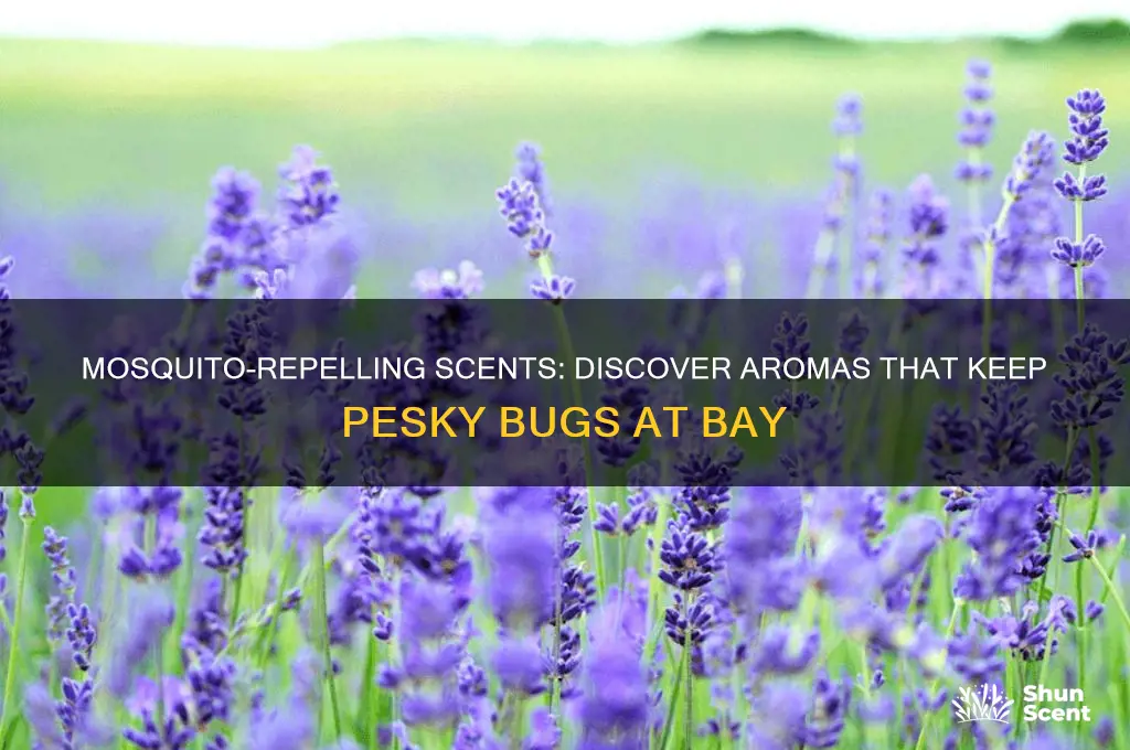 what kind of scents do mosquitoes hate