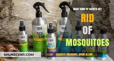 Natural Mosquito Repellents: Scents That Keep Pesky Bugs at Bay