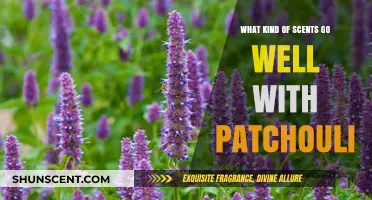 Patchouli Pairings: Discover Scents That Complement Its Earthy Allure