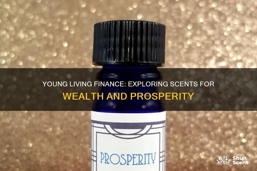 what kind of scents of young living finance