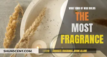 Best Wax for Long-Lasting Fragrances