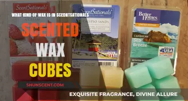 ScentSationals Wax Cubes: Unveiling the Wax Type Behind the Fragrance