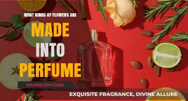 The Art of Floral Perfumes: Exploring Key Ingredients