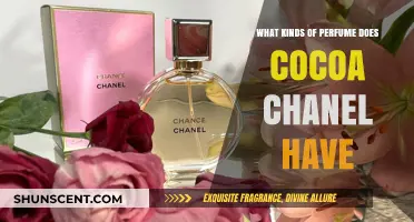 Explore the Fragrance Universe of Chanel
